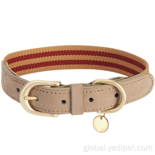 Dog Collars Logo pet dog neck collar personalized waterproof collar Supplier